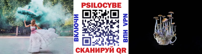 цена Любань Галлюциногенные грибы Psilocybe